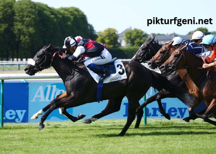 100pour100 Quinteplus (3)