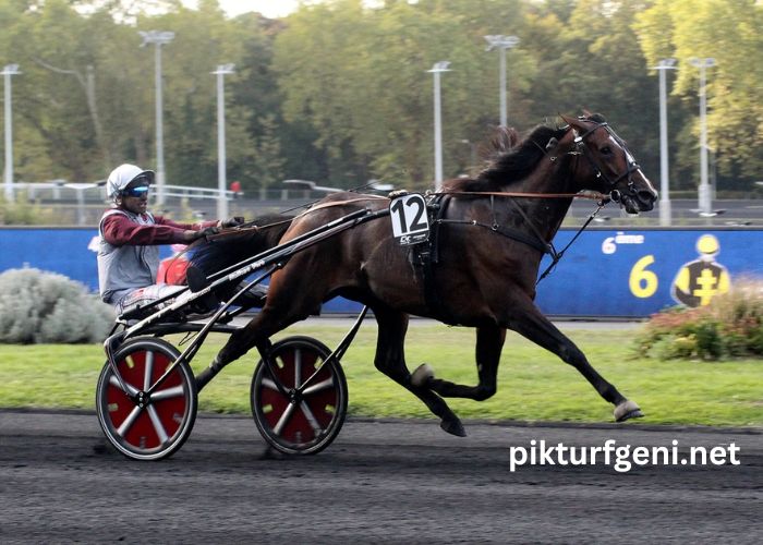 LA Richesse Turf Vip (2)