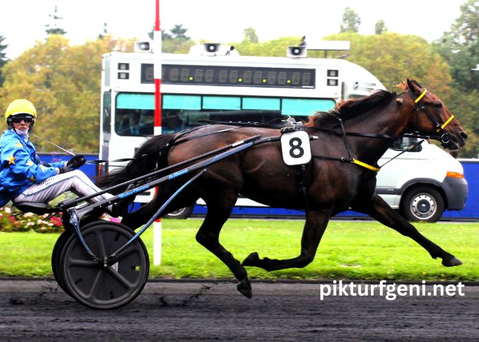 Programme Pmu Demain