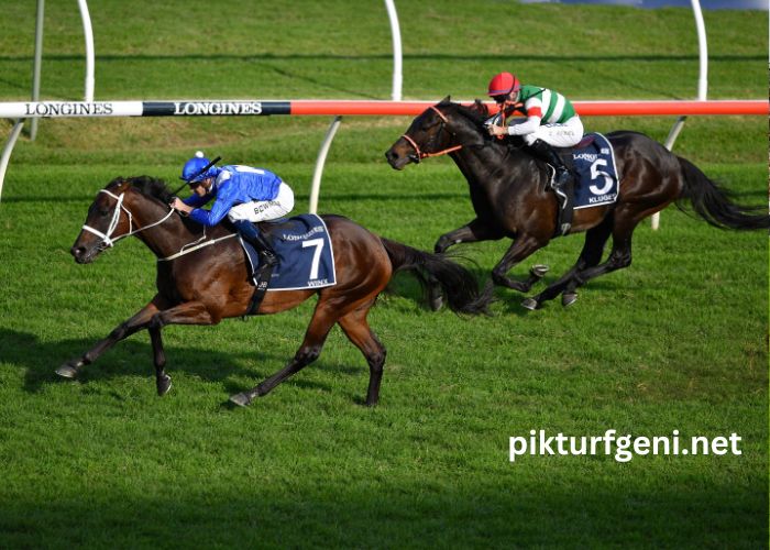 Turf Derniere Minute